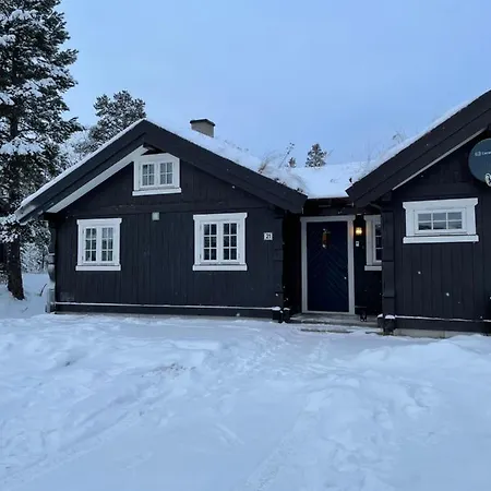 I Nydelige Jotunhemen - Rett Ved Besseggen Randsverk